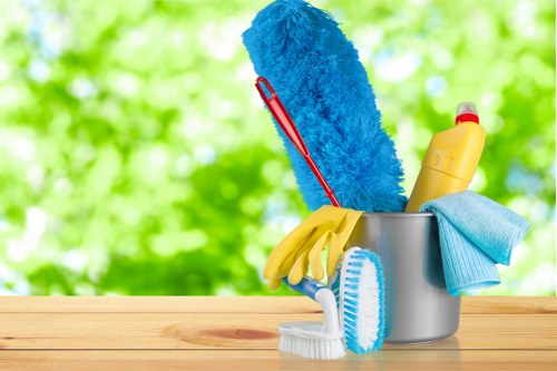Professional upholstery cleaning for a Chelsea living room sofa