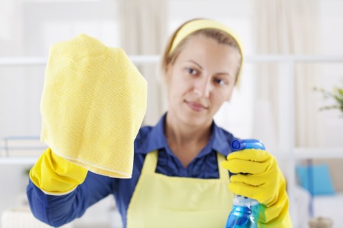 Professional steam carpet cleaning for a Chelsea home interior