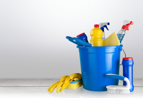 Deep carpet cleaning process in a Chelsea home