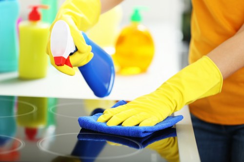 Move-out cleaning in a Chelsea period property living room
