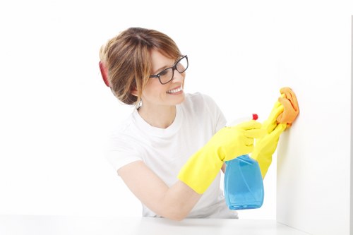 Cleaning equipment and treatment products prepared for carpet care