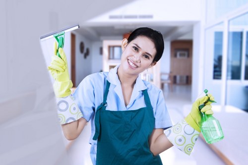 Deep cleaning bathroom and kitchen surfaces in Chelsea